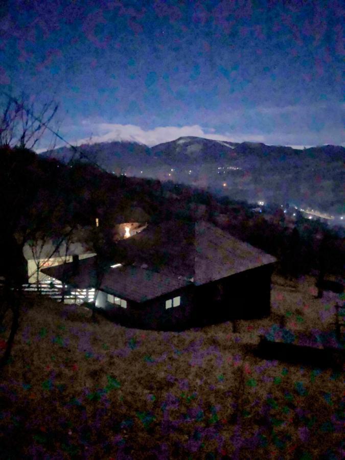 Cabana Hatere Мойсей Екстер'єр фото