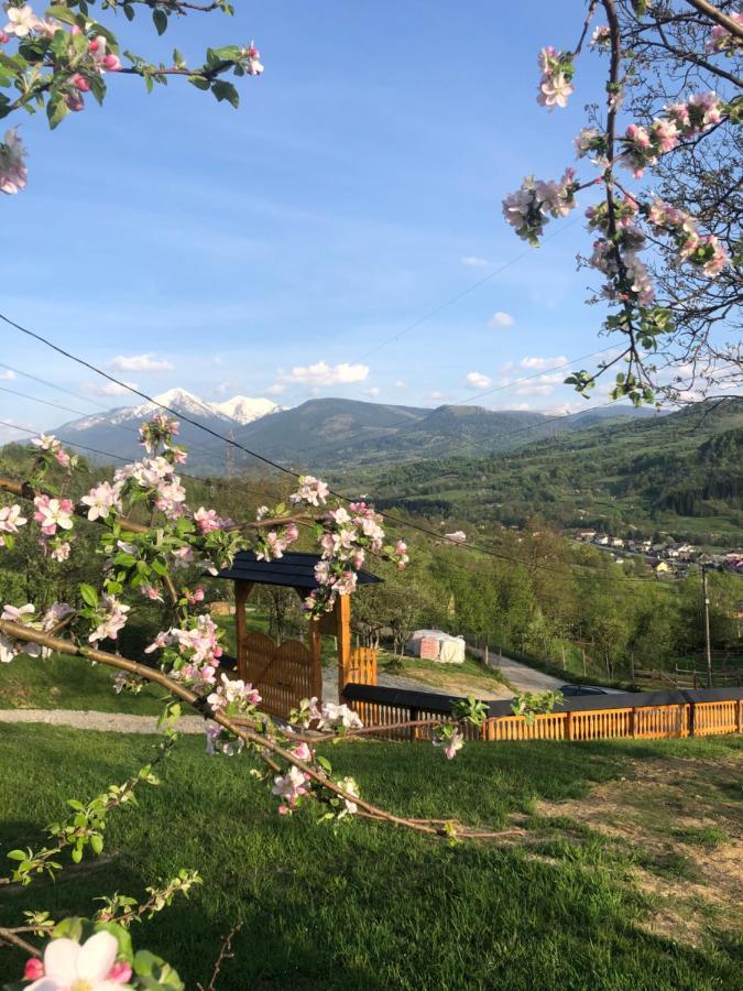 Cabana Hatere Мойсей Екстер'єр фото