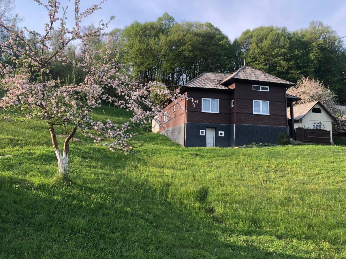 Cabana Hatere Мойсей Екстер'єр фото
